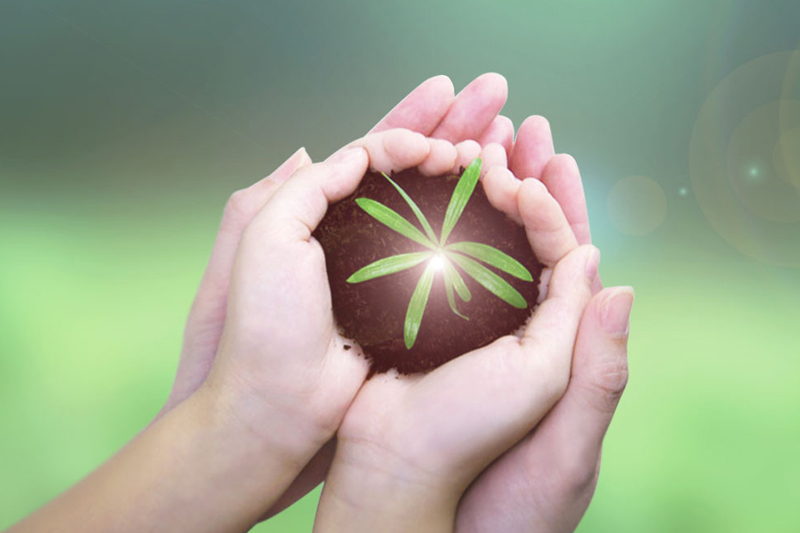 宁波锦莱化工股份有限公司欢迎您到访